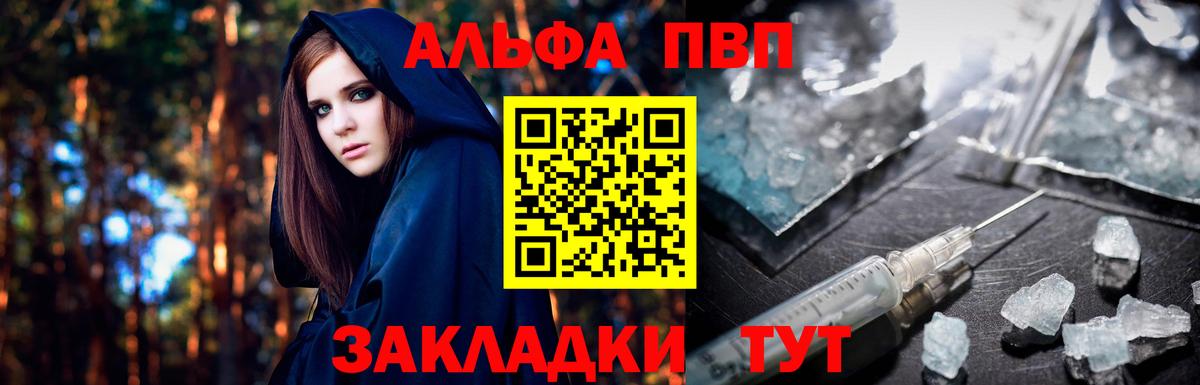 Альфа ПВП СК Светлоград