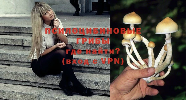 индика Алзамай