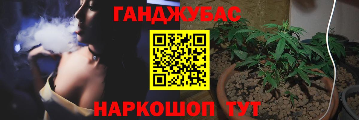 Галлюциногенные грибы Светлоград